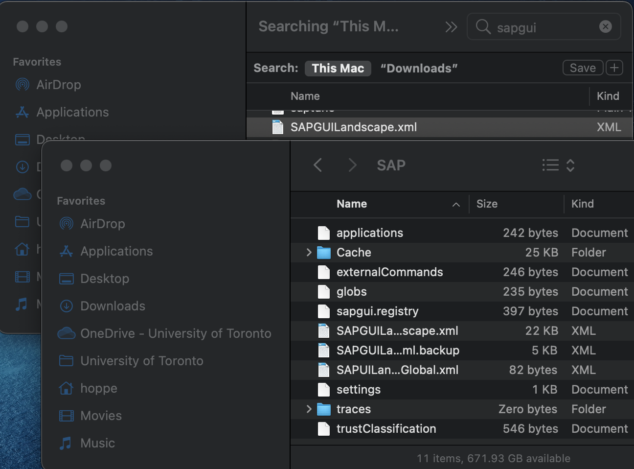 Copy SAPGUILandscape.xml from Downloads window to SAPGUI directory