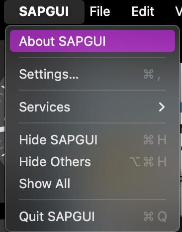 About SAPGUI drop down